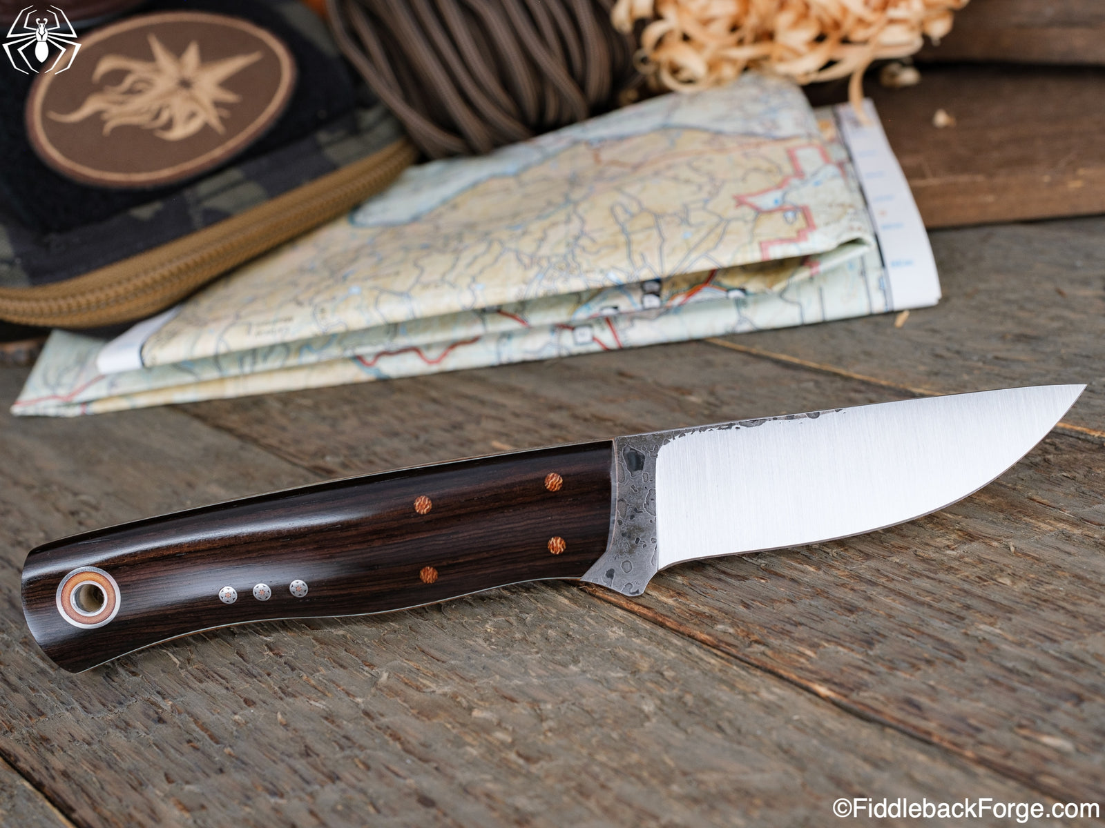 Fiddleback Friday 5/27/22