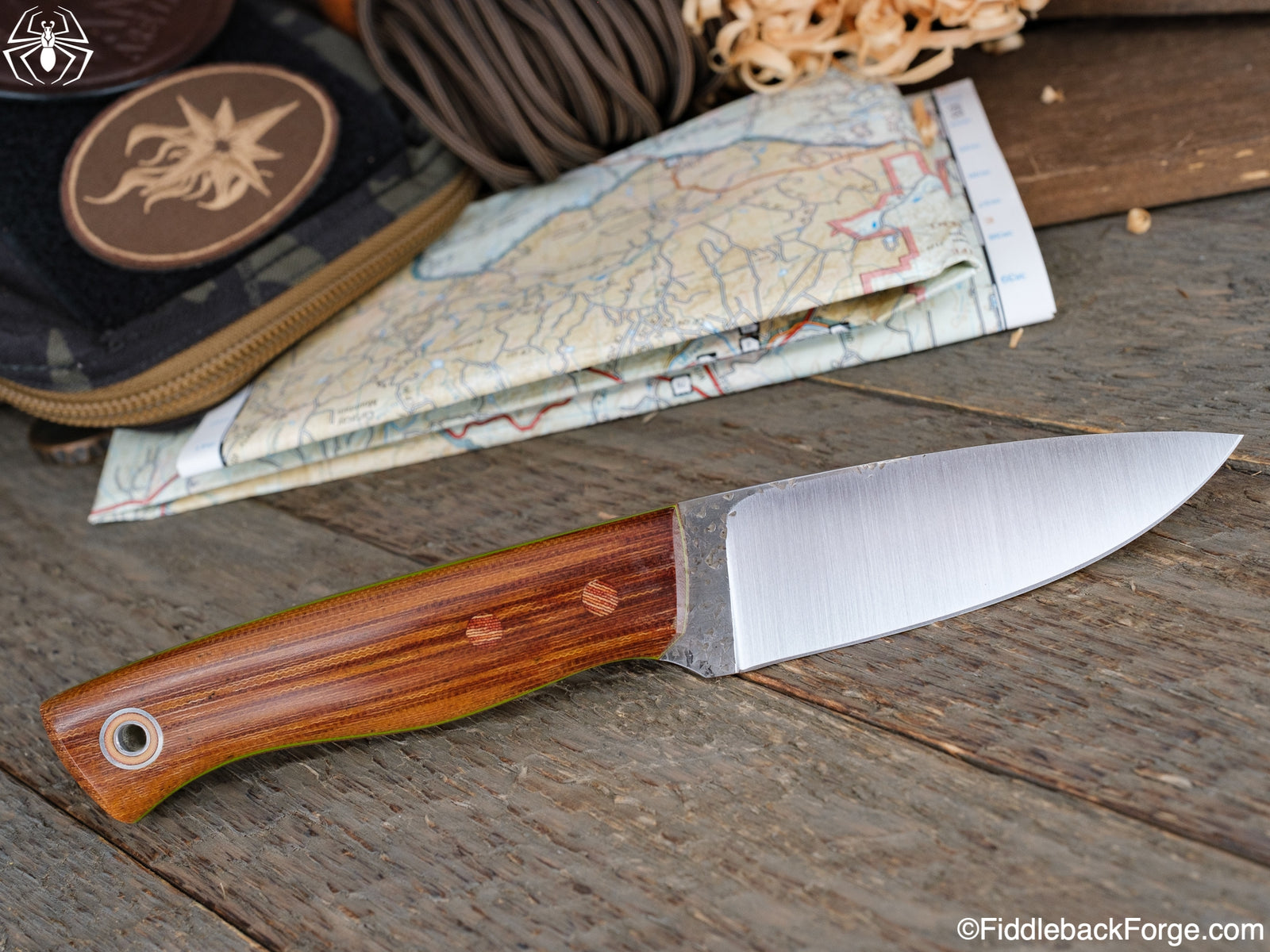 Fiddleback Friday 6/10/22