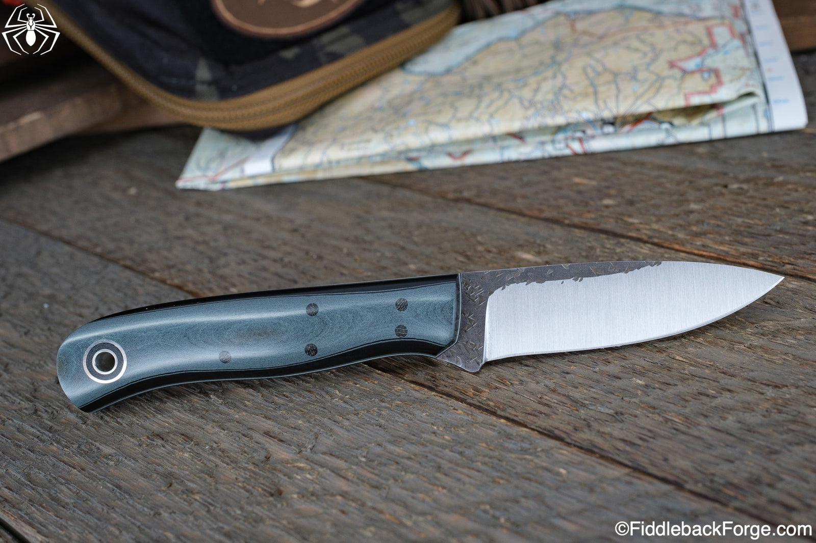 Fiddleback Friday 11/18/22