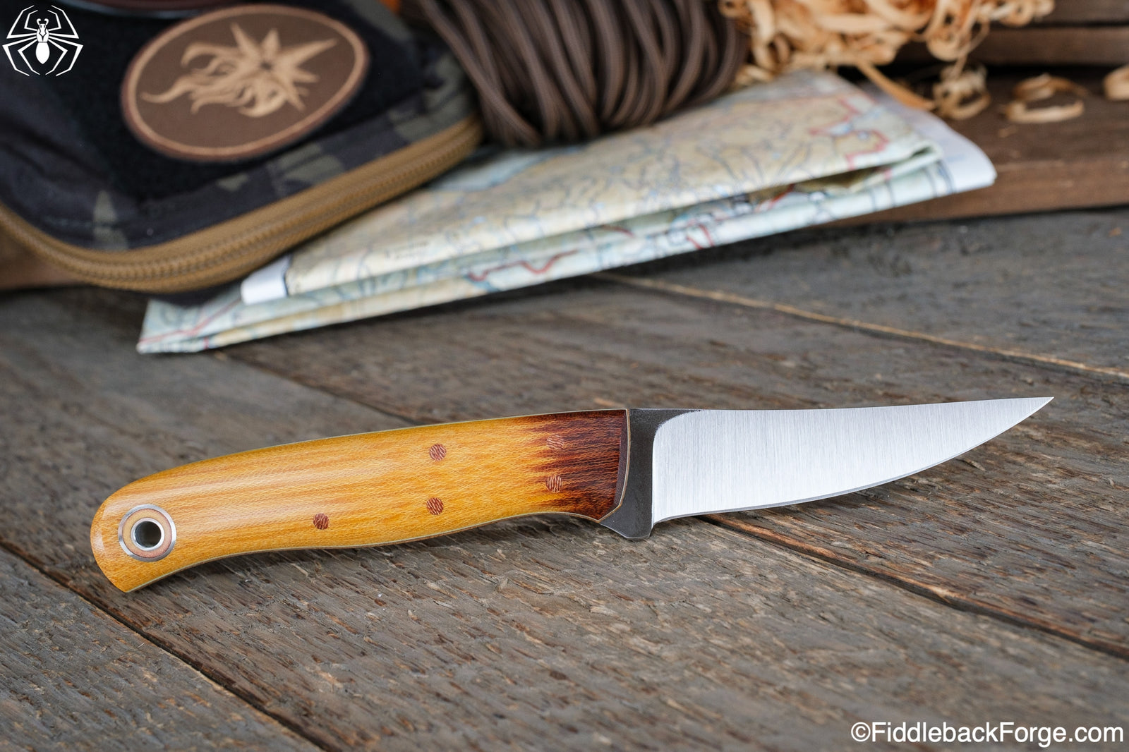 Fiddleback Friday 12/23/22