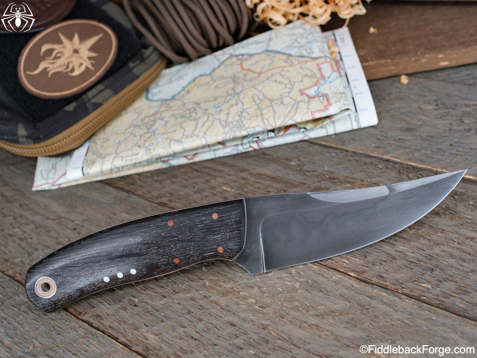 Fiddleback Friday 6/24/22