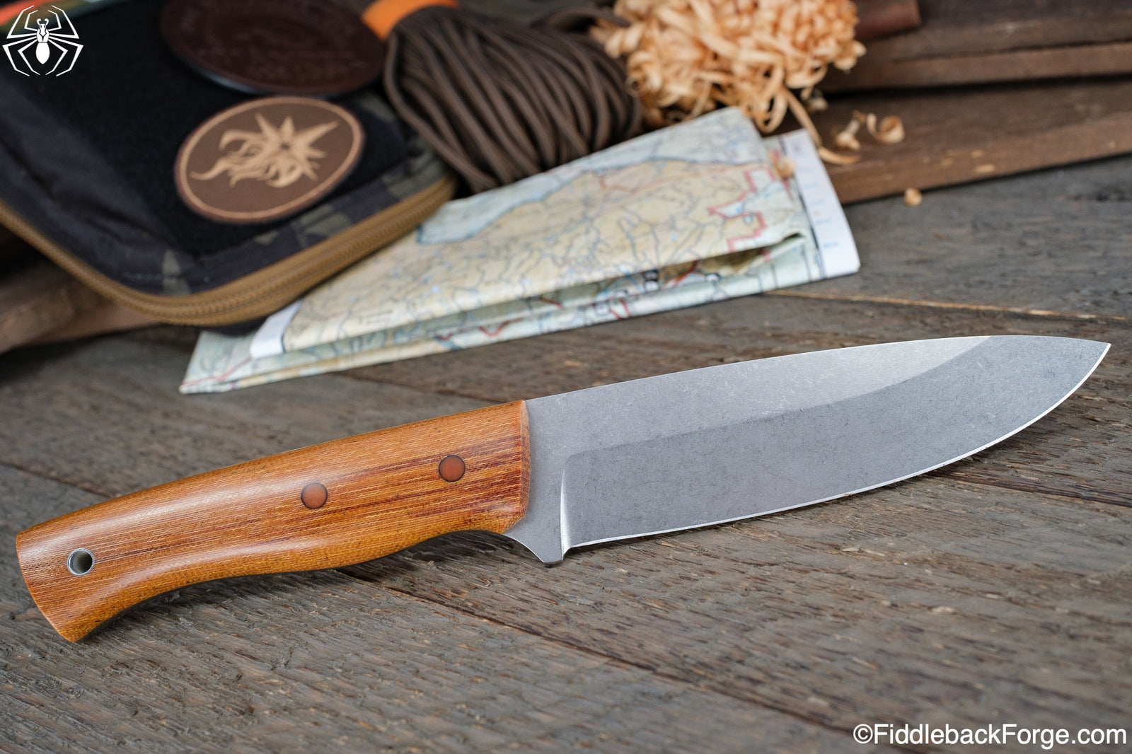 Fiddleback Friday 8/5/22