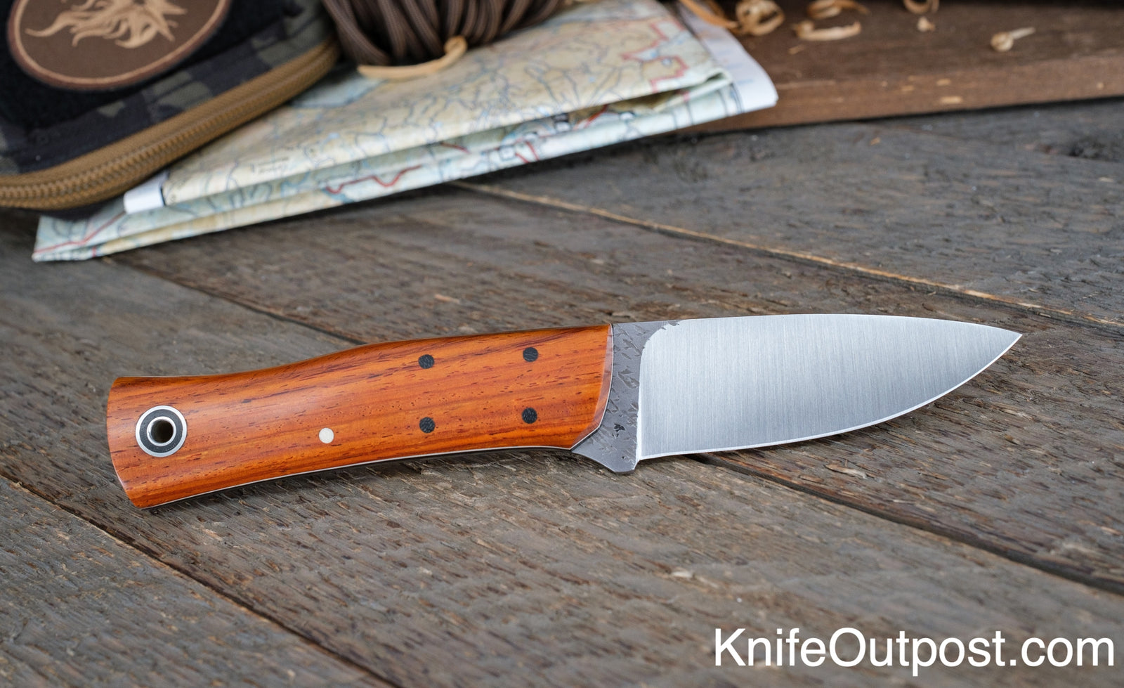 Fiddleback Friday 1/13/23