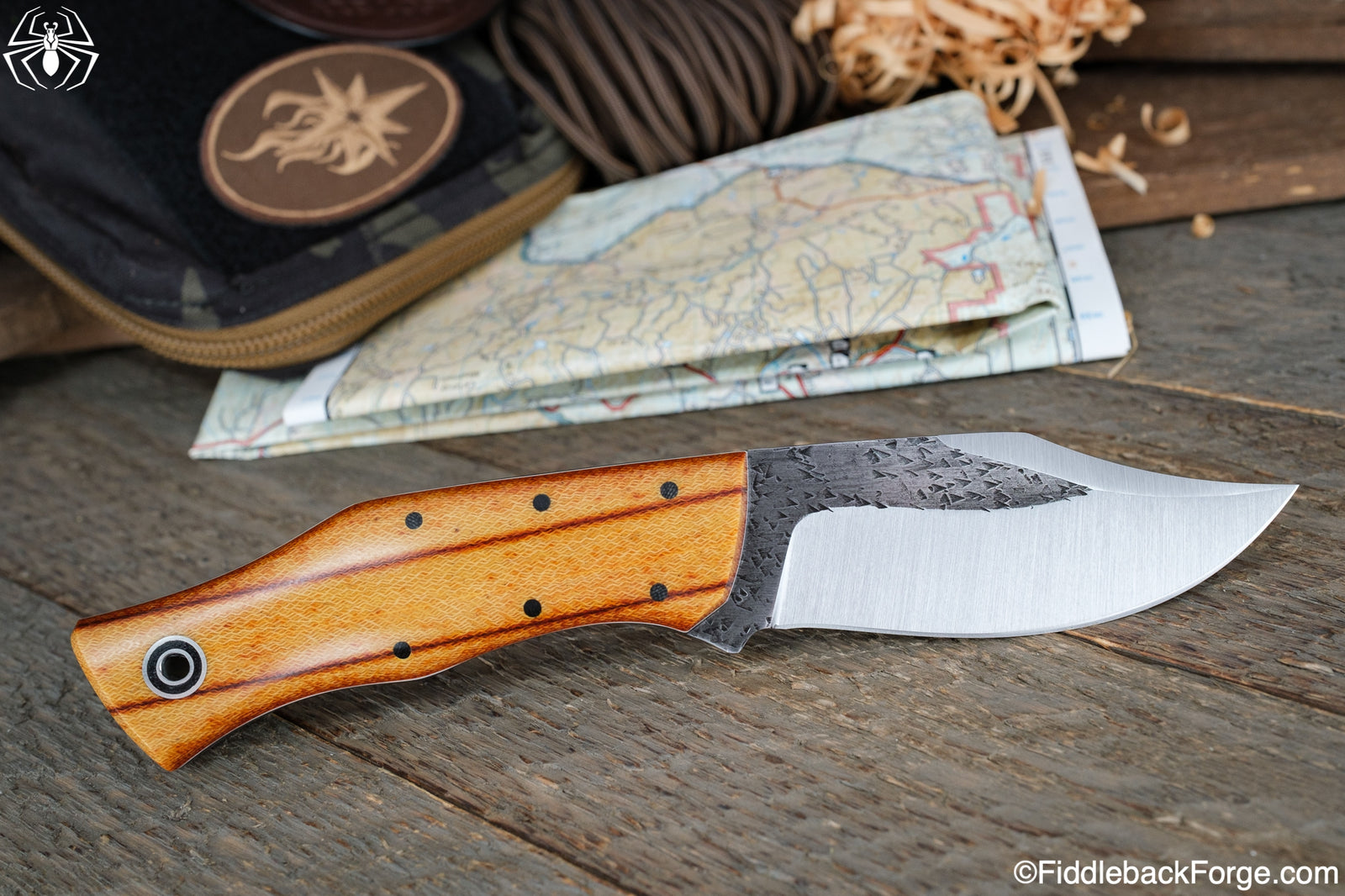 Fiddleback Friday 8/19/22