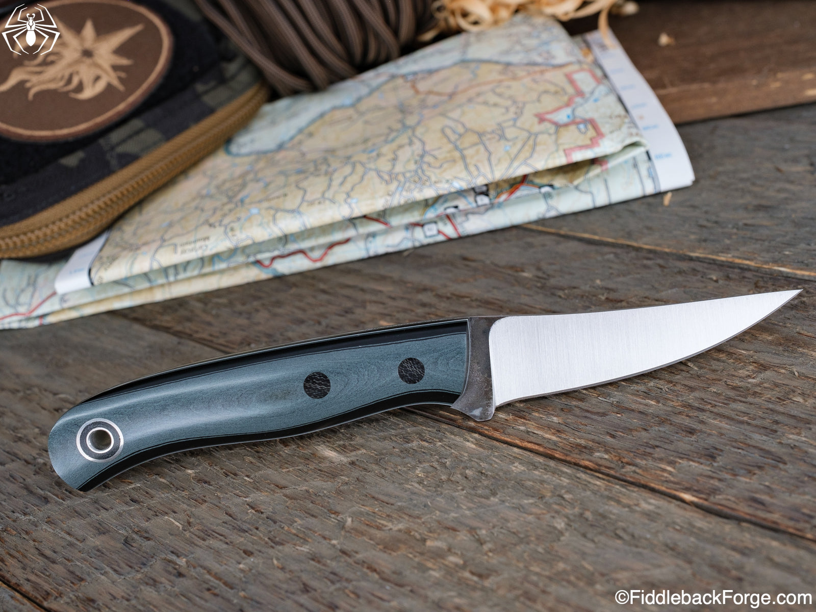 Fiddleback Friday 5/20/22