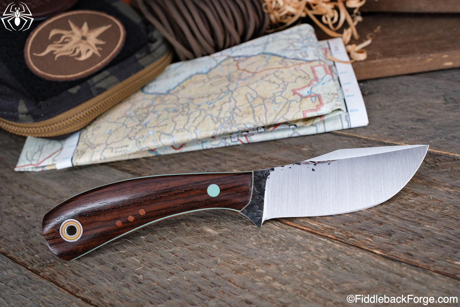 Fiddleback Friday 9/23/22