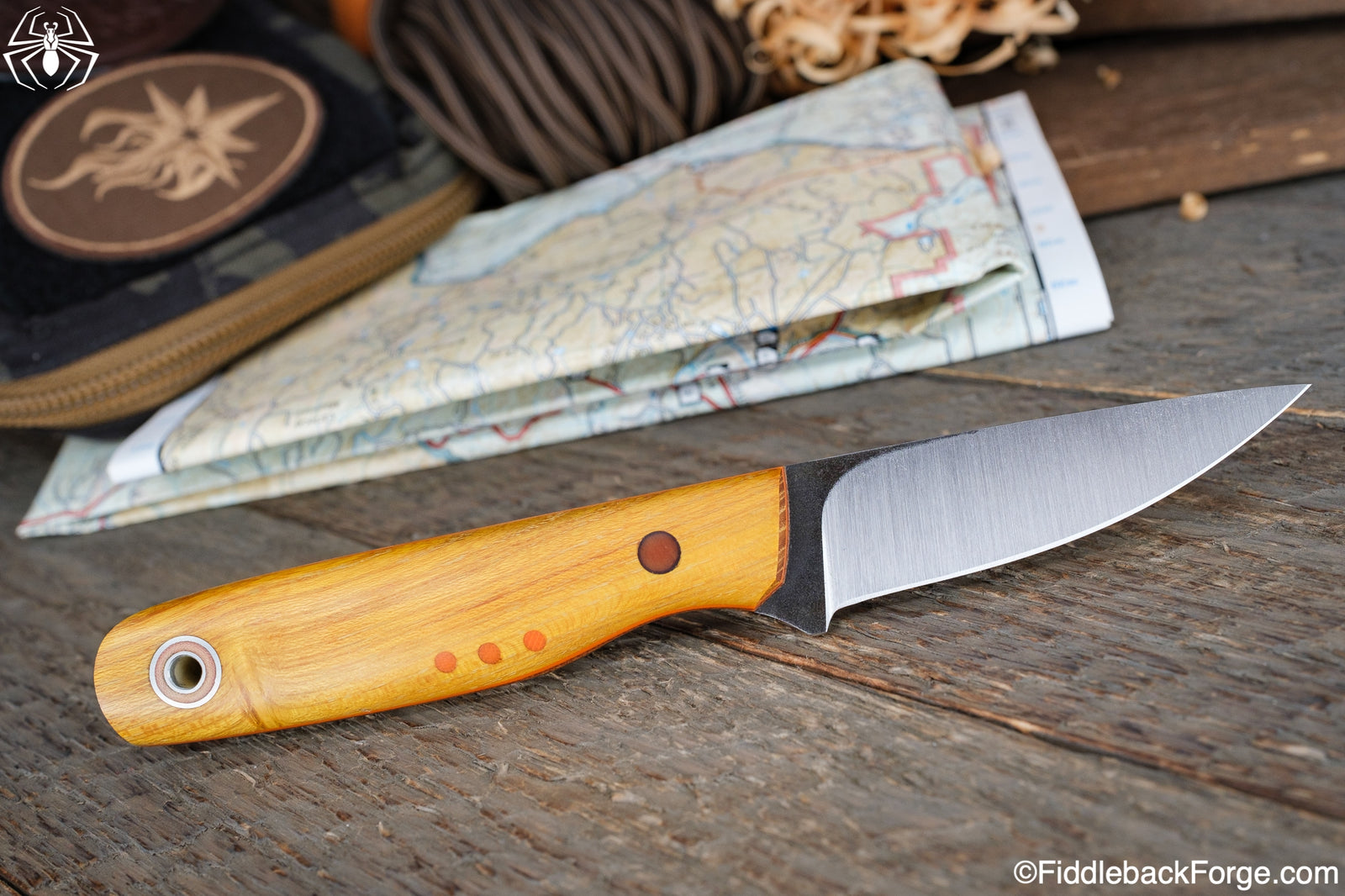 Fiddleback Friday 7/29/22