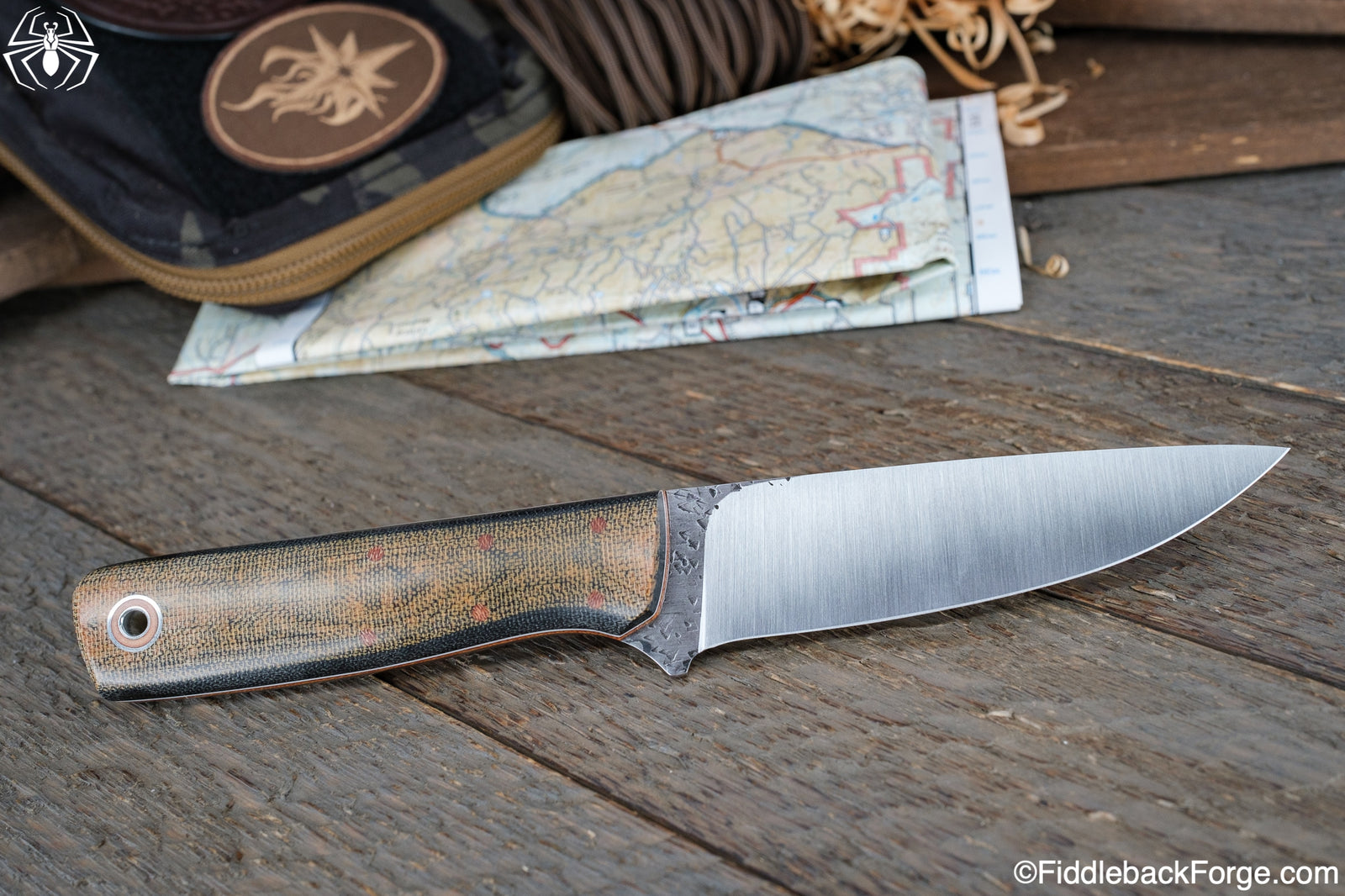 Fiddleback Friday 10/7/22