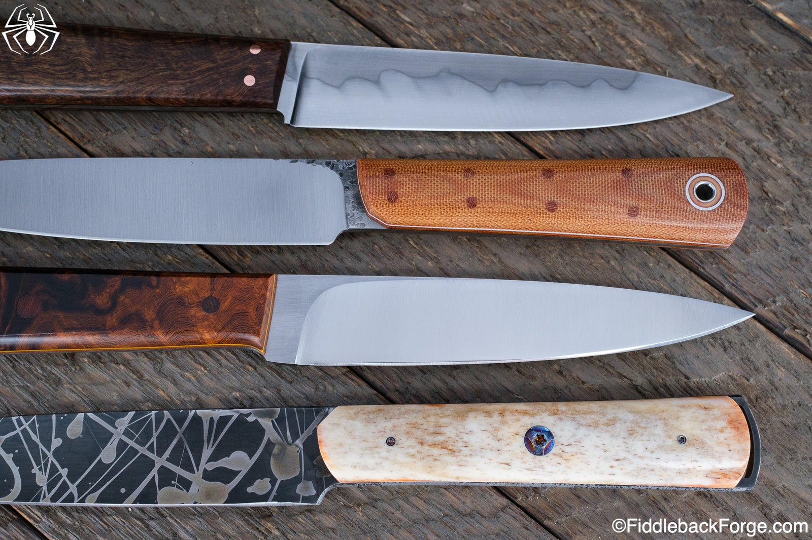 Fiddleback Friday 9/30/22