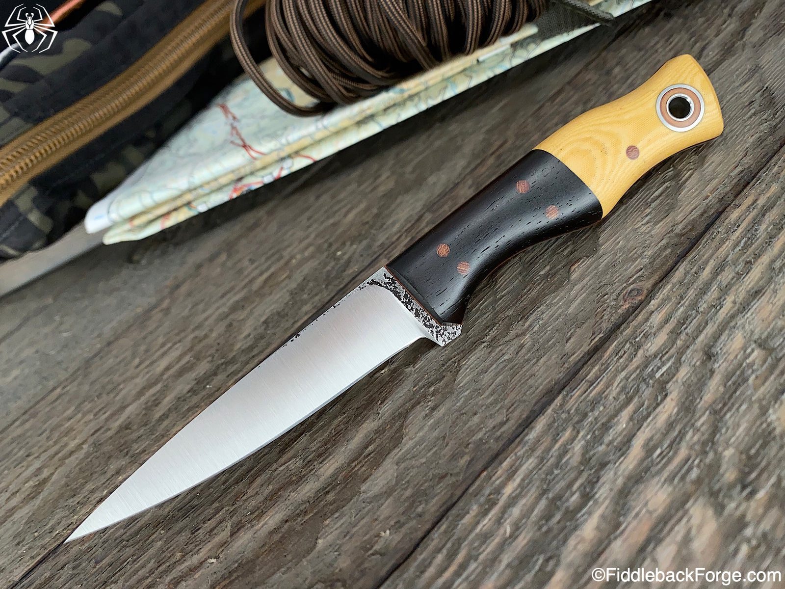 Fiddleback Friday 9/27/19