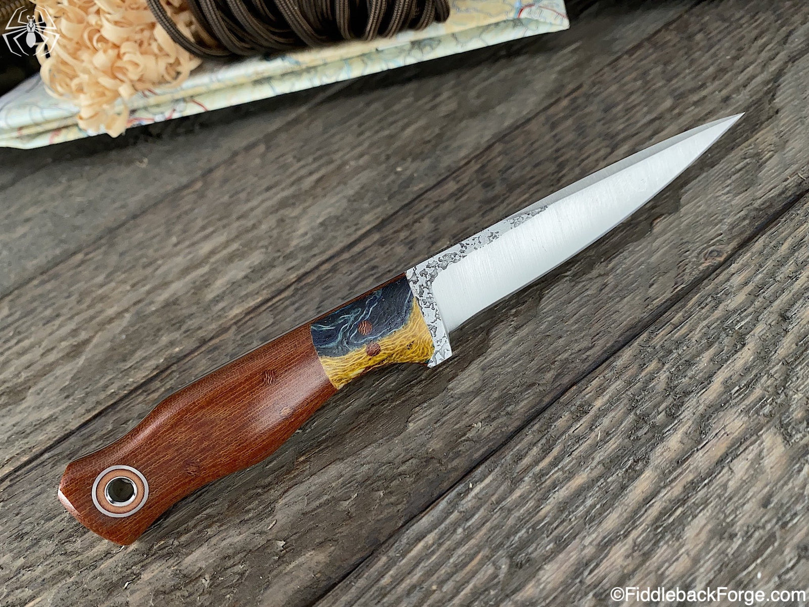 Fiddleback Friday 10/11/19