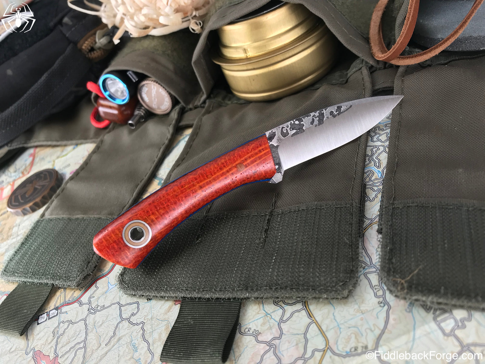 Fiddleback Friday 8/17/18