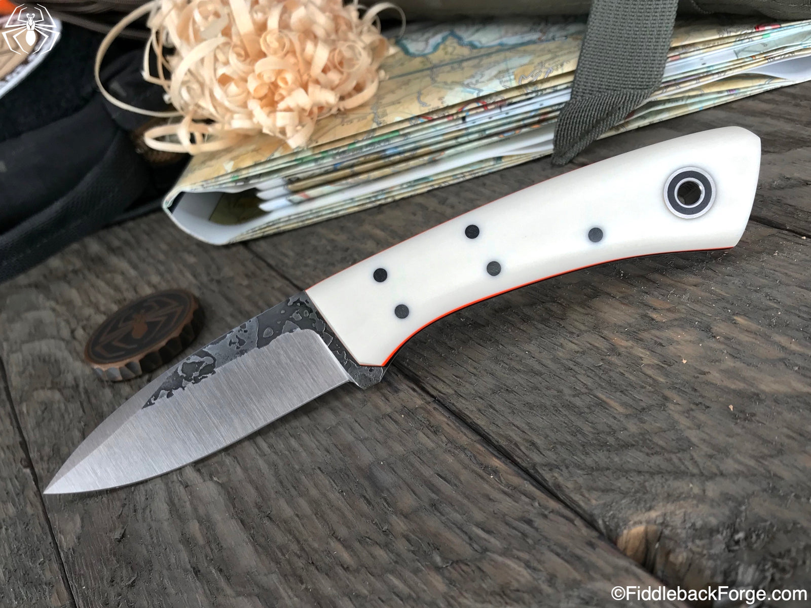 Fiddleback Friday 11/9/18