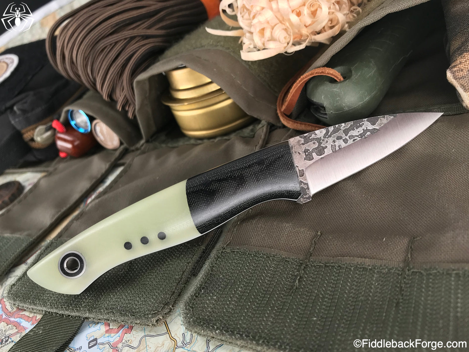 Fiddleback Friday 10/26/18