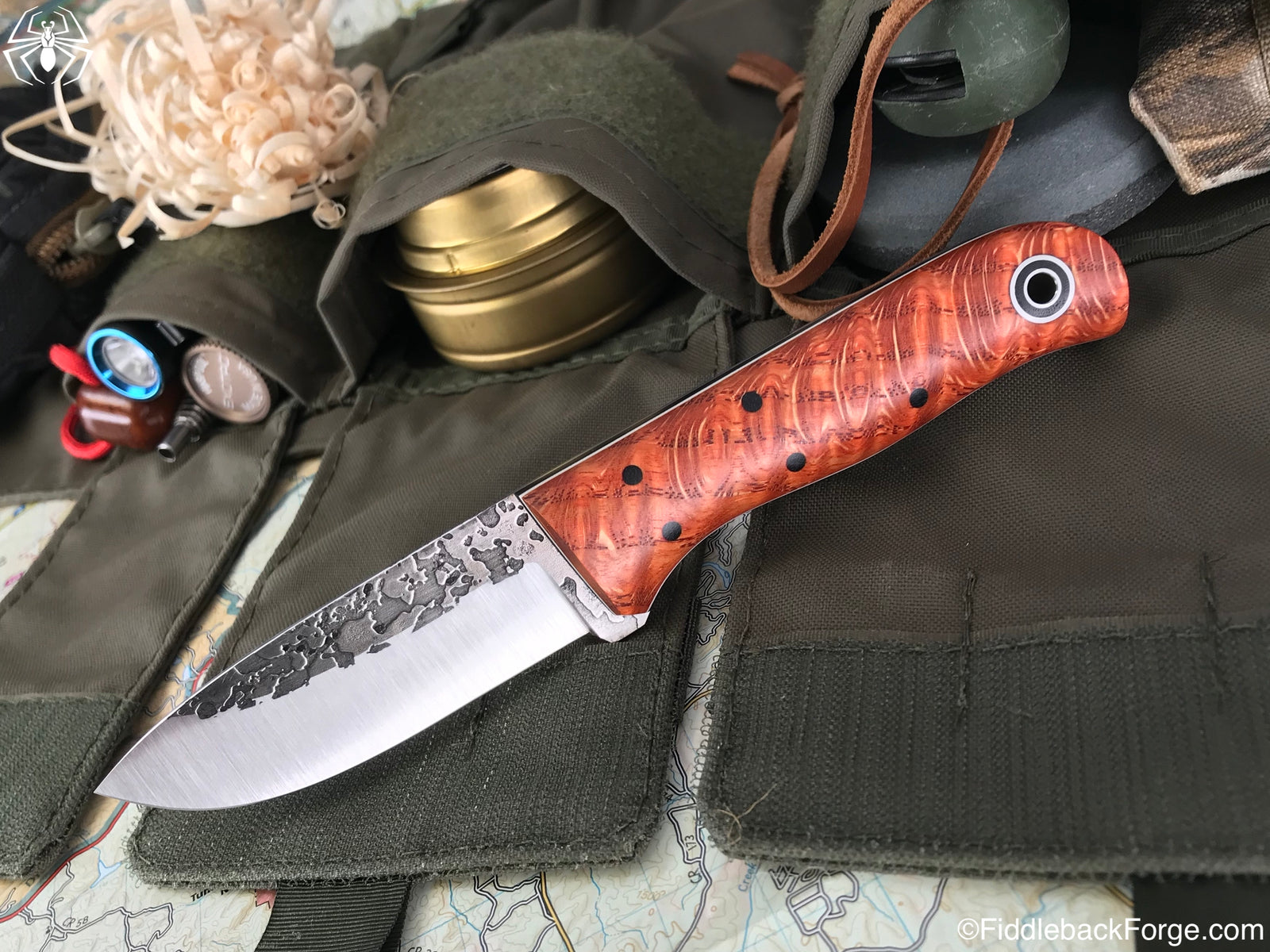 Fiddleback Friday 8/24/18