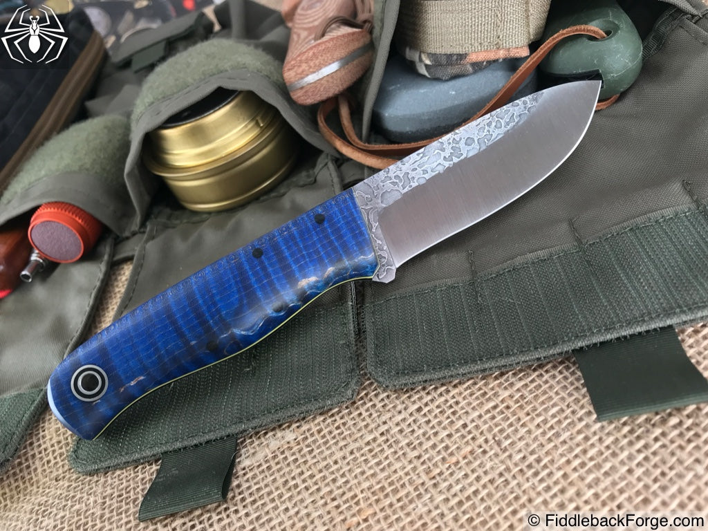 Fiddleback Friday 6/22/18