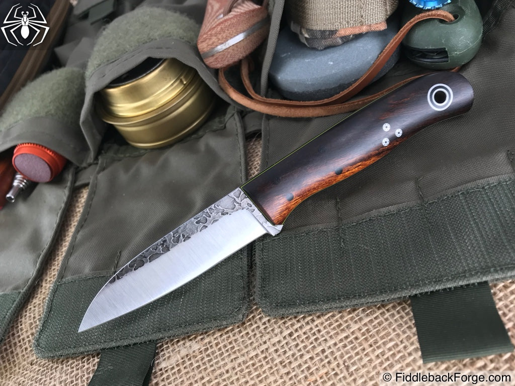 Fiddleback Friday 7/6/18