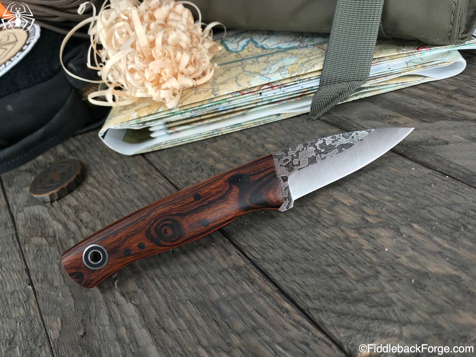 Fiddleback Friday 11/2/18