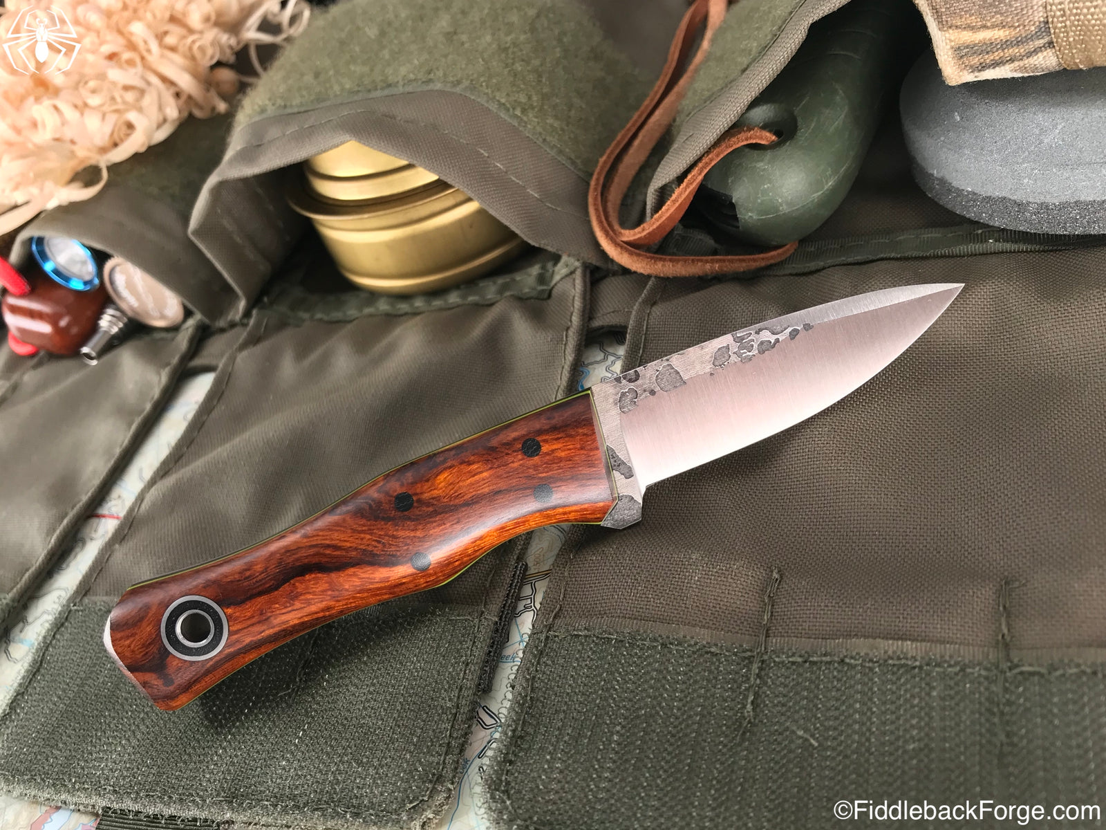 Fiddleback Friday 9/28/18