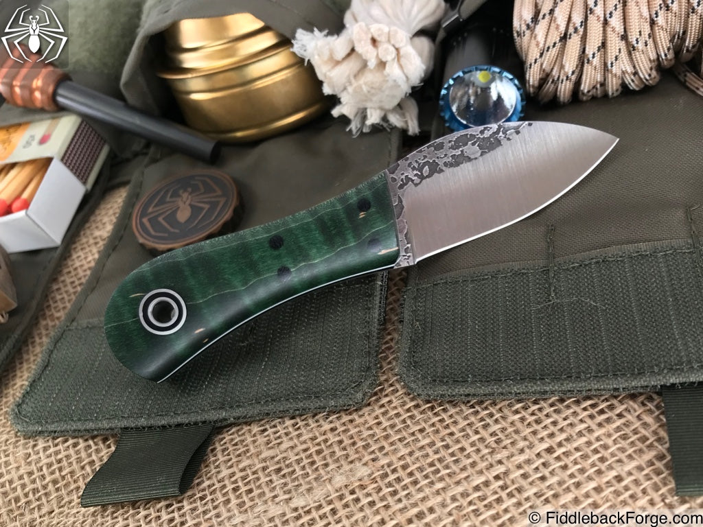 Fiddleback Friday LIVE SHOW! on May 18, 2018