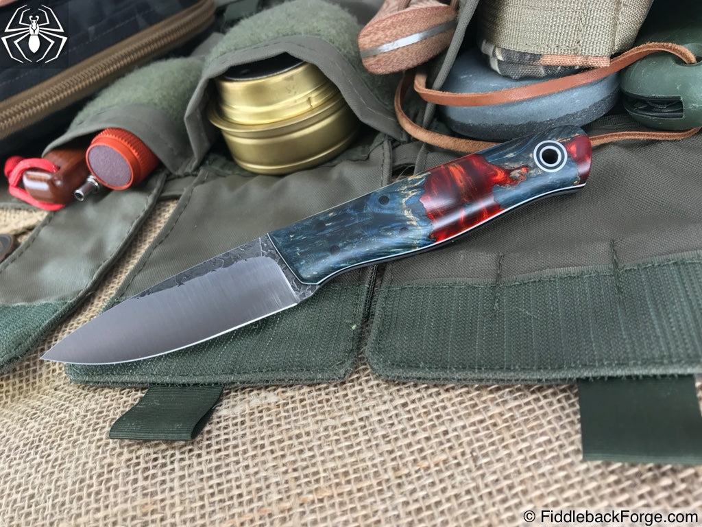 Fiddleback Friday 6/8/18