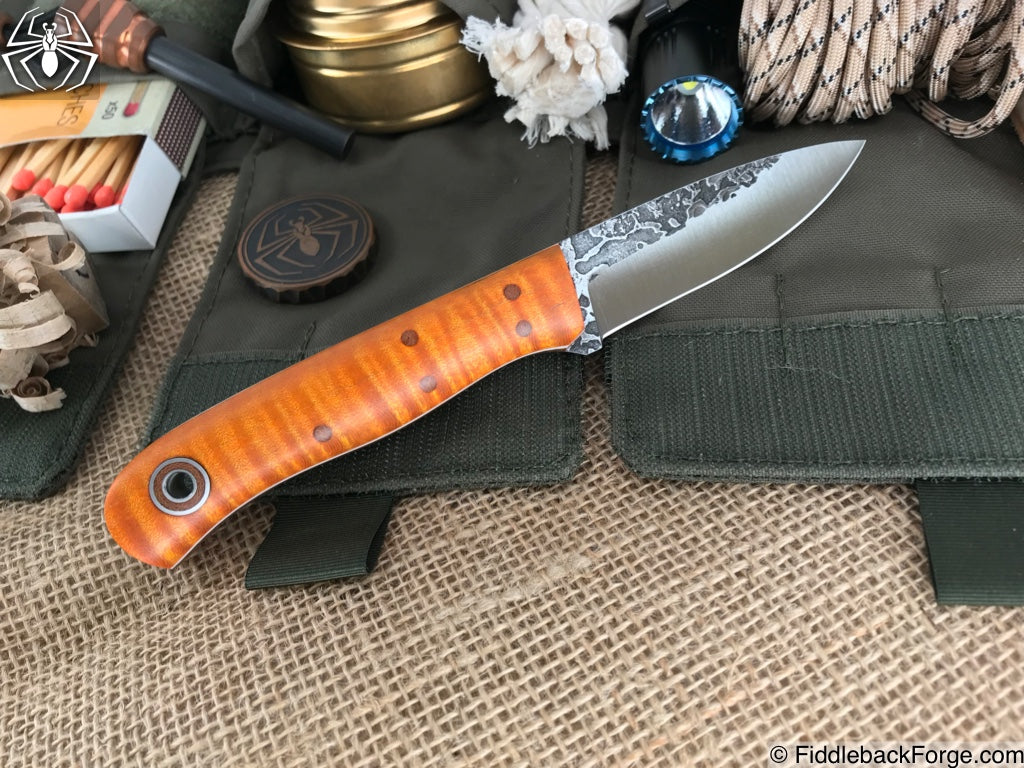 Fiddleback Friday 5/11/18