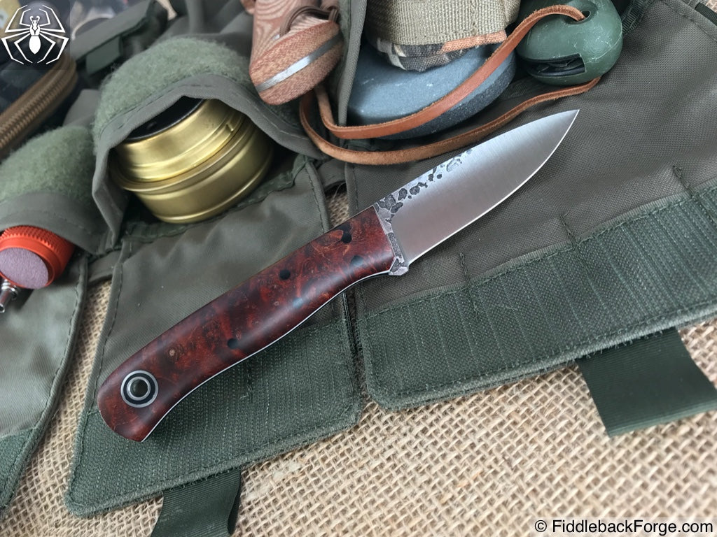 Fiddleback Friday 6/15/18