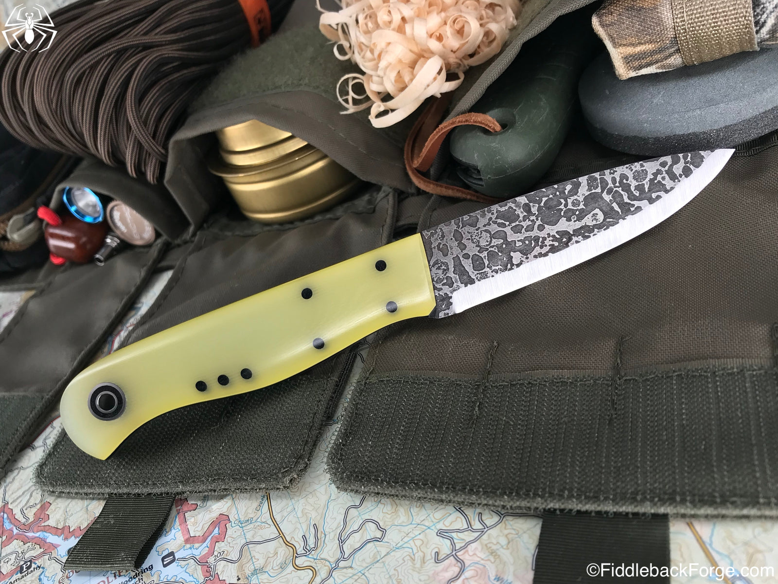 Fiddleback Friday 10/19/18