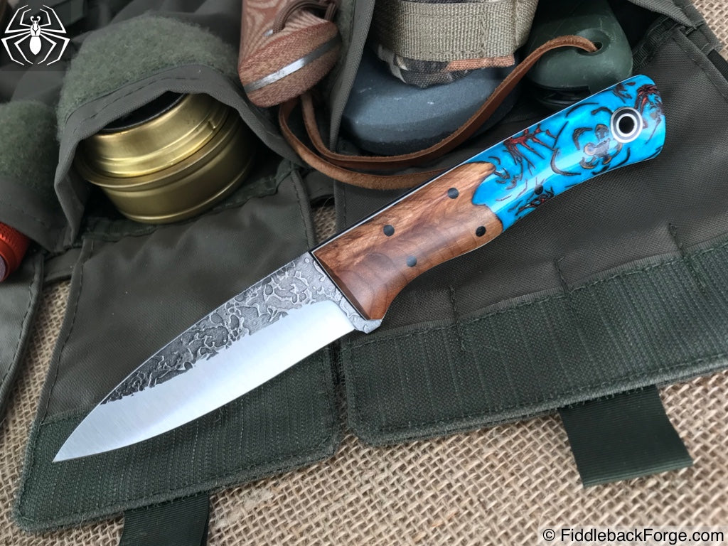 Fiddleback Friday 6/29/18