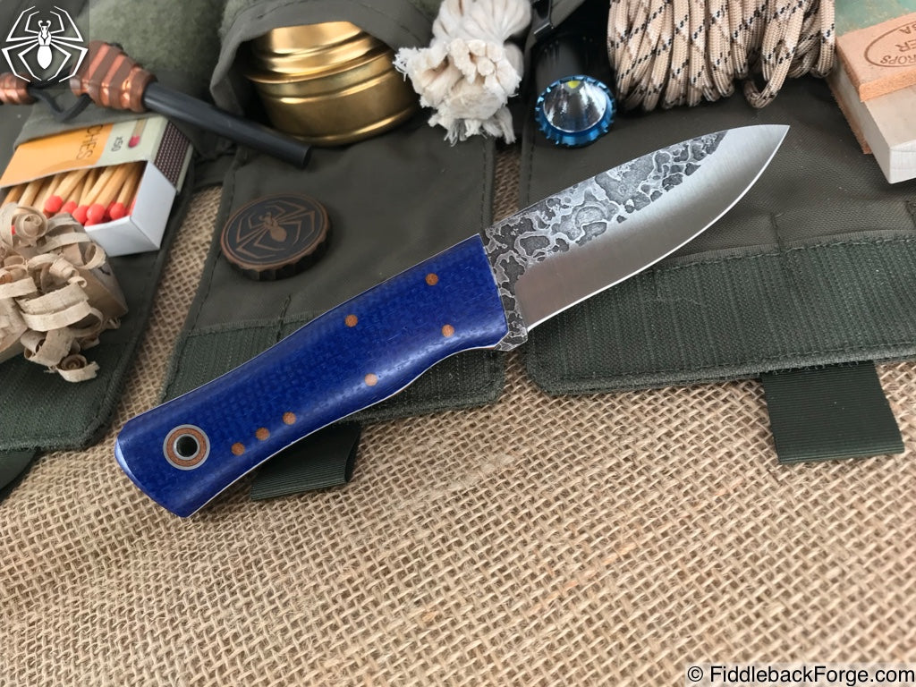 Fiddleback Friday 05/04/18