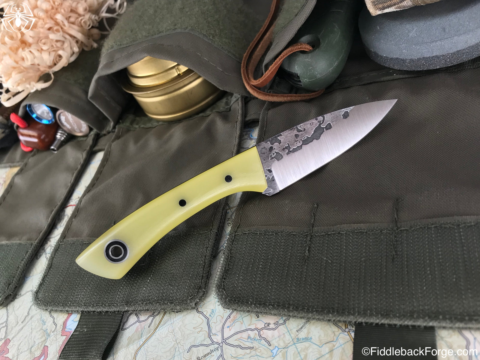 Fiddleback Friday 9/21/18