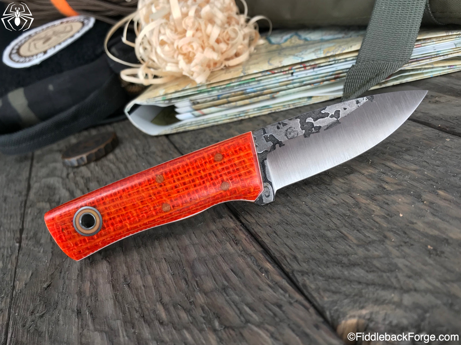 Fiddleback Friday 11/16/18