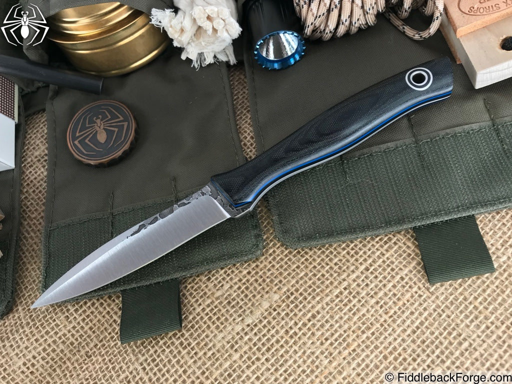 Fiddleback Friday 5/18/18