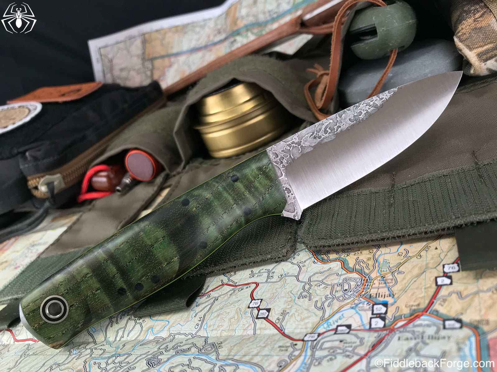 Fiddleback Friday 7/27/18