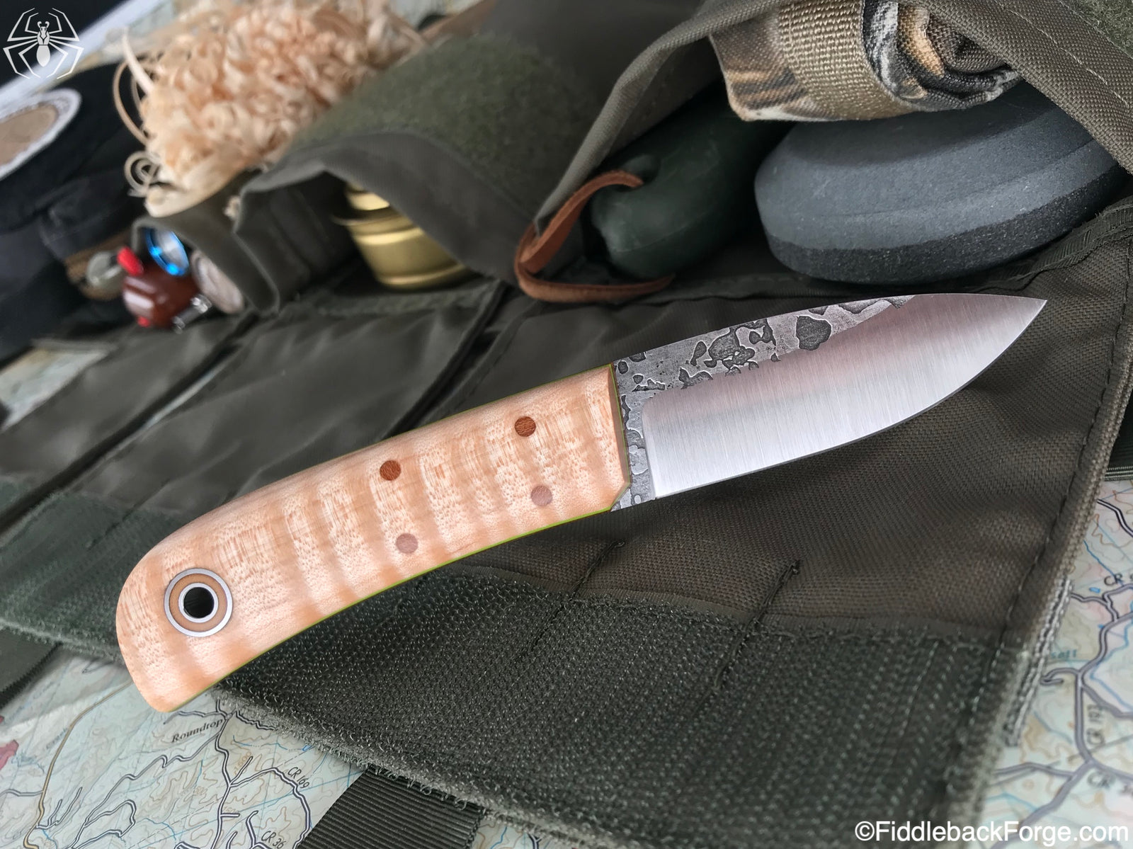 Fiddleback Friday 10/12/18