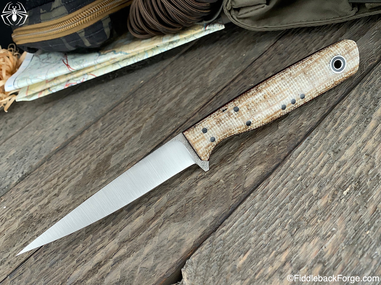 Fiddleback Friday 11/29/19