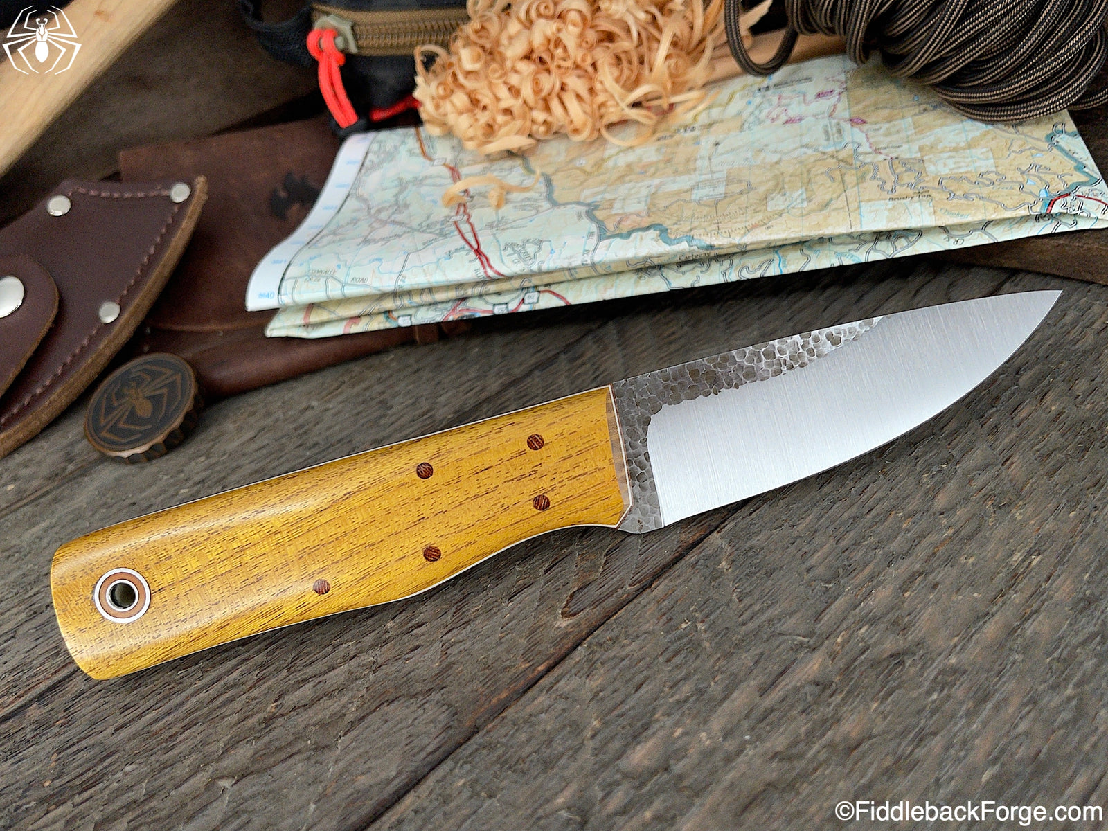 Fiddleback Friday 5/28/21