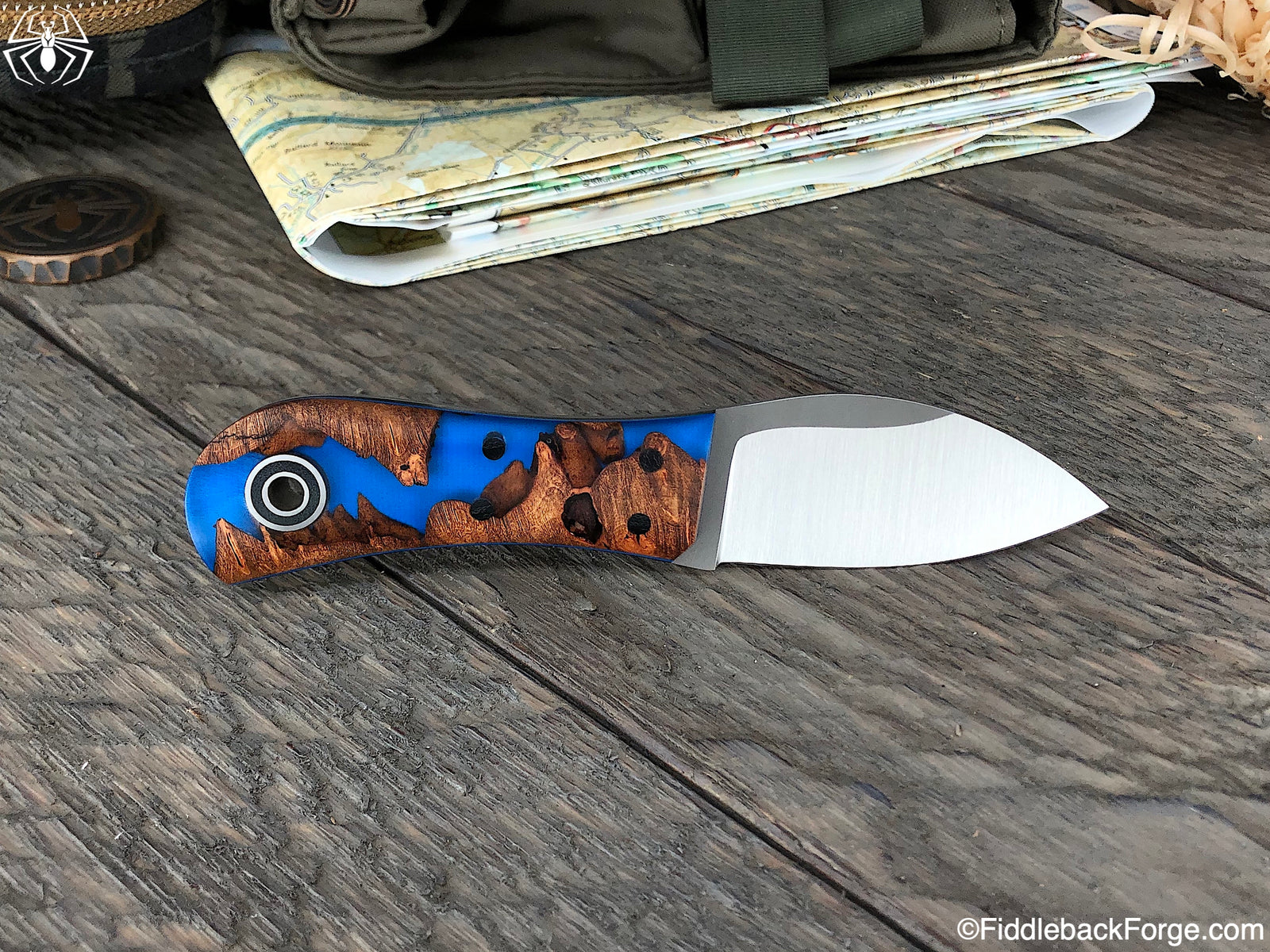 Fiddleback Friday 2/1/19