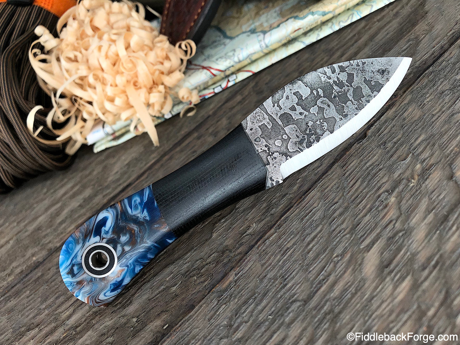 Fiddleback Friday 5/10/19