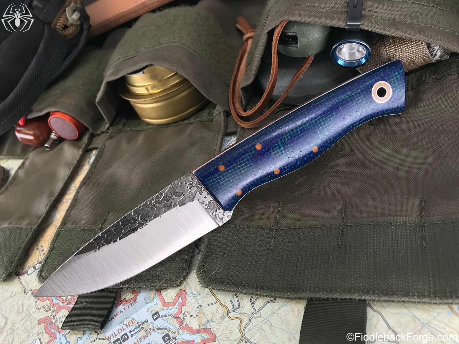 Fiddleback Friday 8/3/18