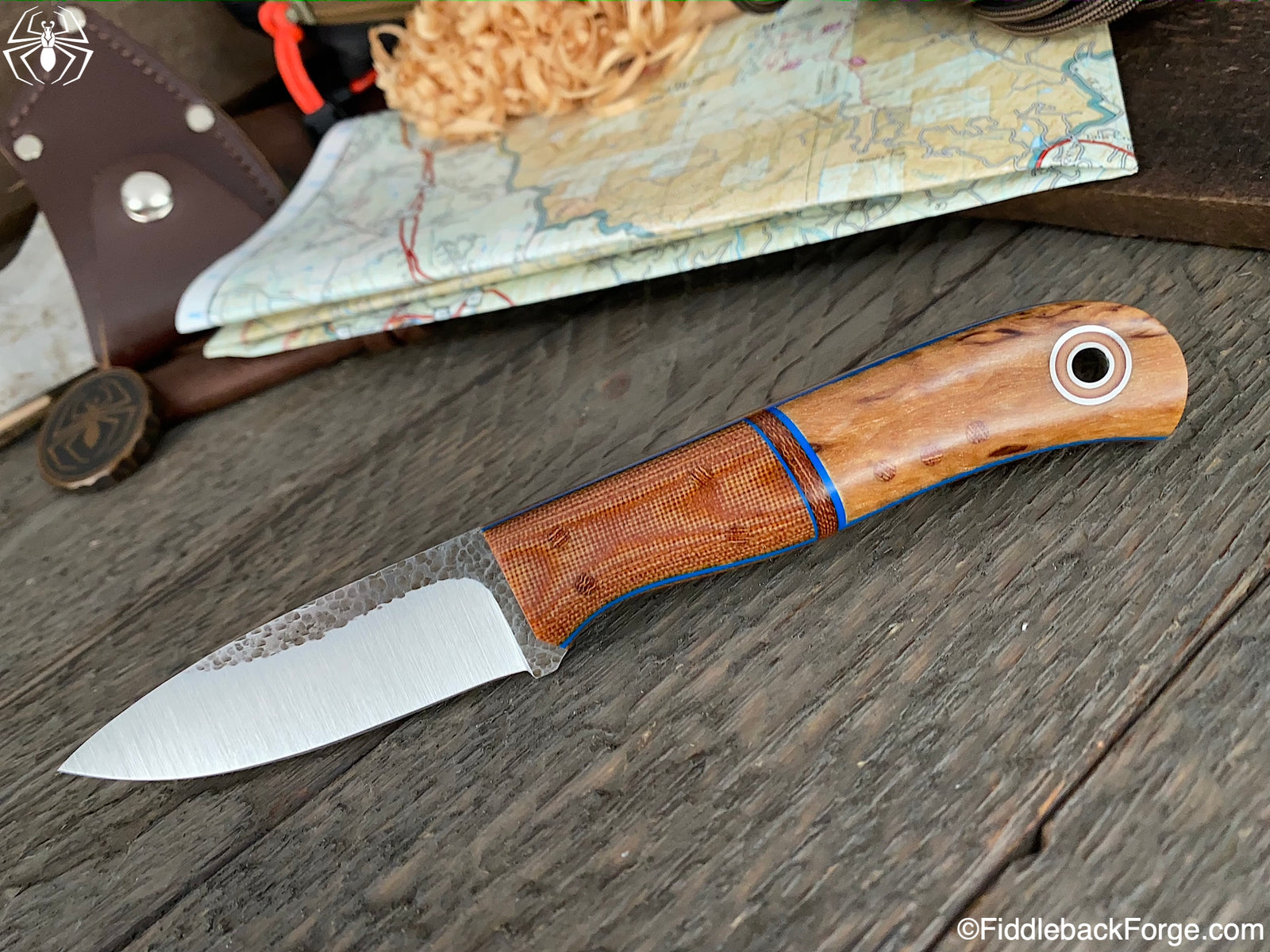 Fiddleback Friday 10/2/20