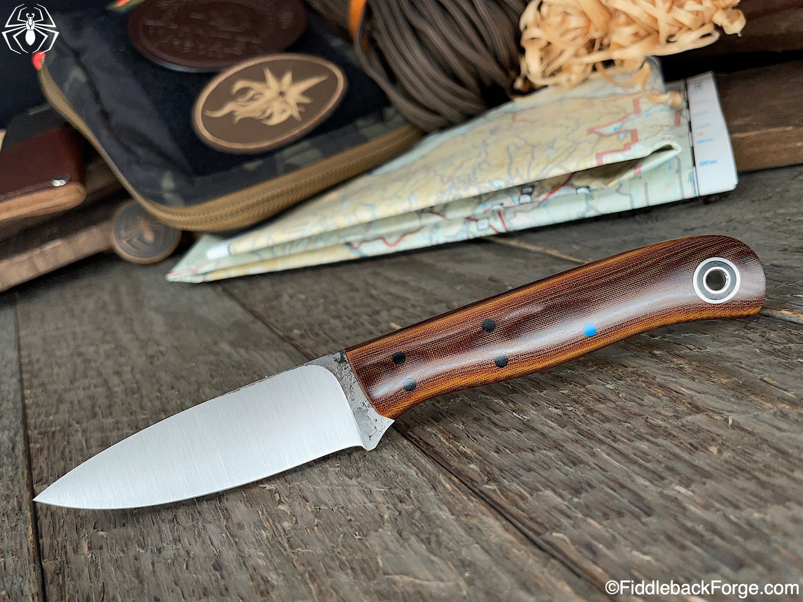 Fiddleback Friday 11/5/21