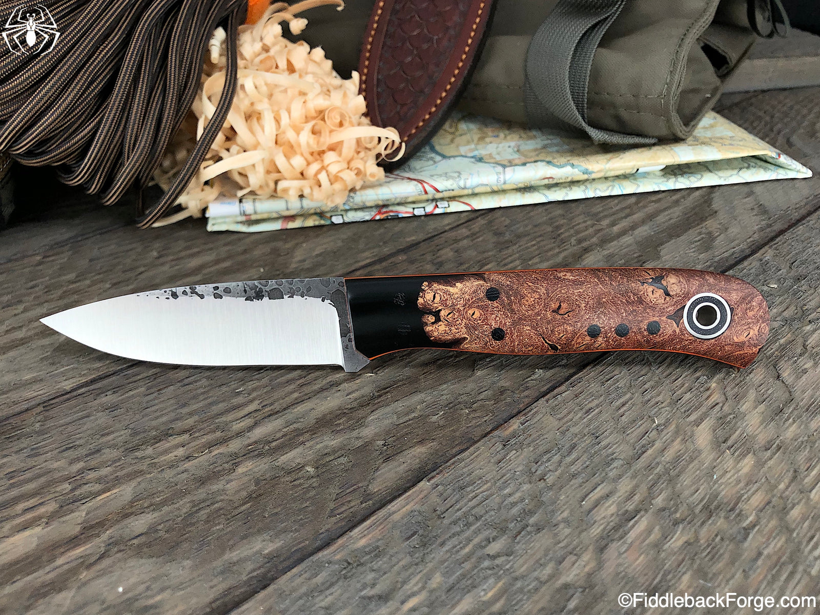 Fiddleback Friday 3/29/19