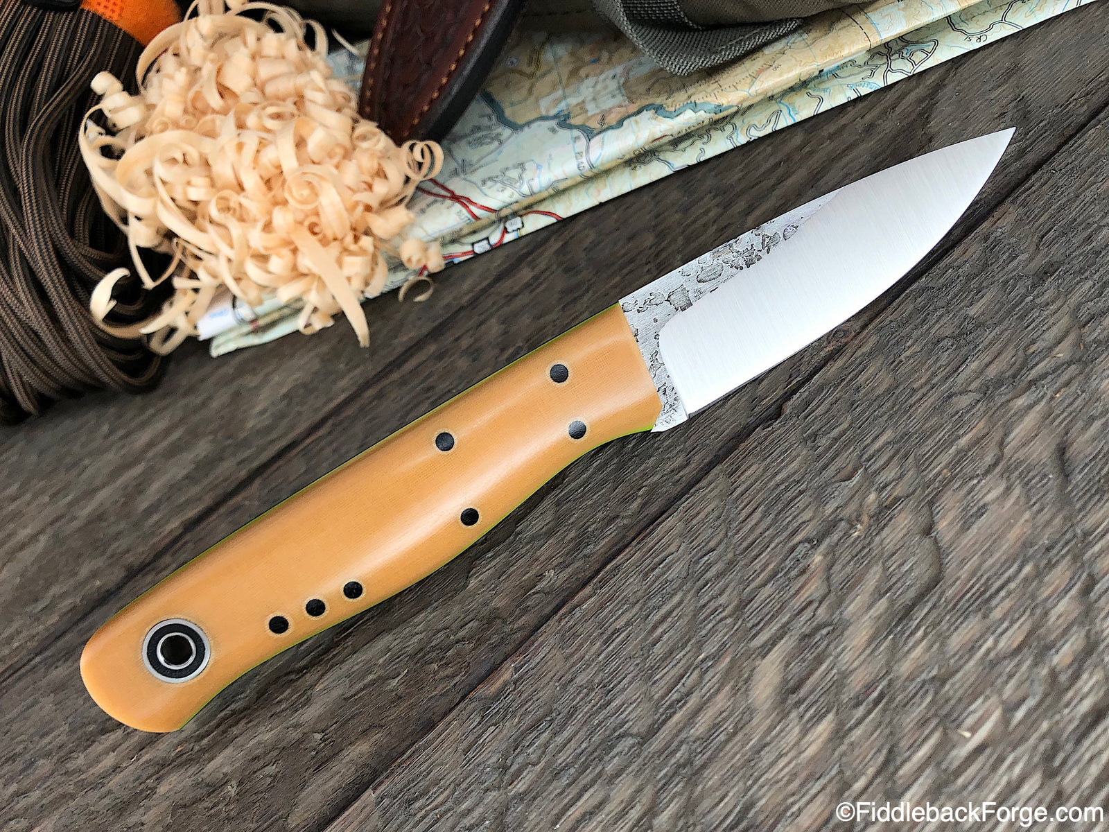 Fiddleback Friday 4/26/19