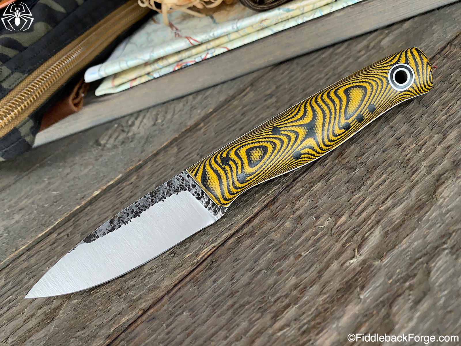 Fiddleback Friday 5/15/20