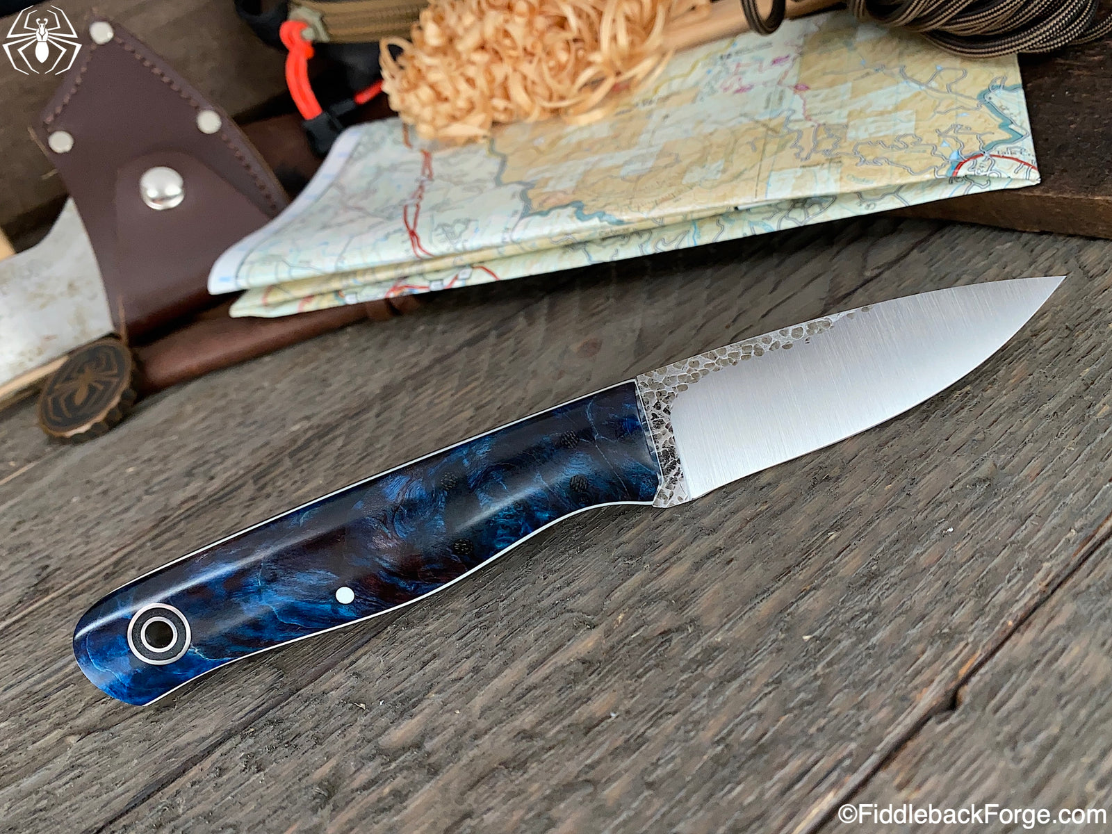 Fiddleback Friday 9/11/20