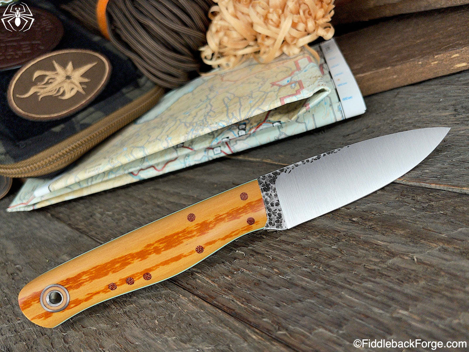 Fiddleback Friday 9/10/21