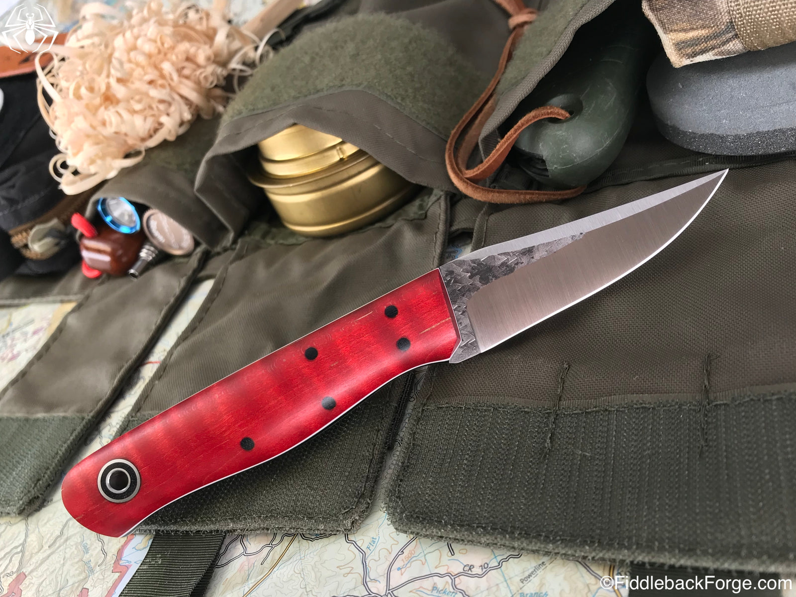 Fiddleback Friday 9/14/18