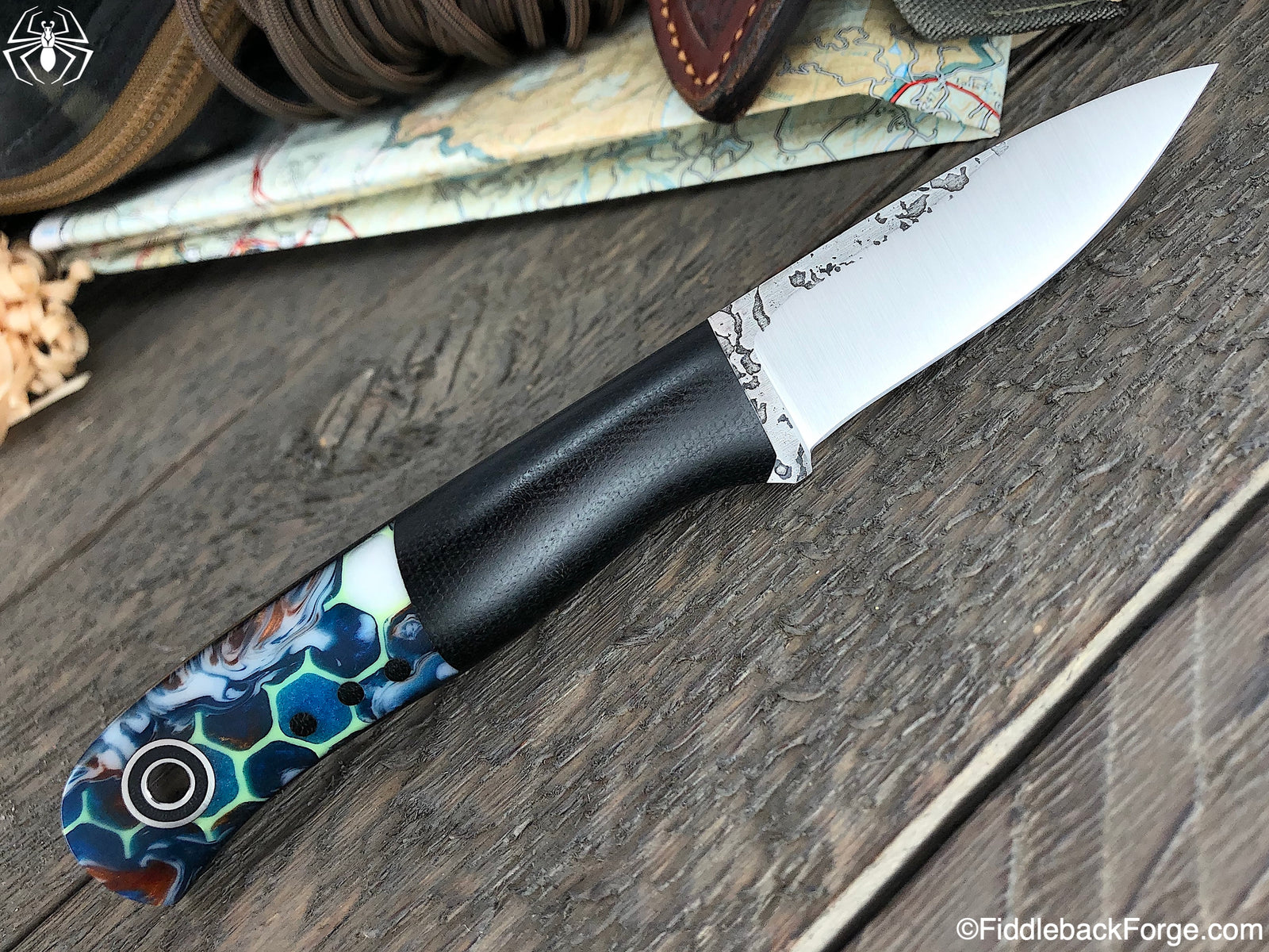 Fiddleback Friday 6/28/19