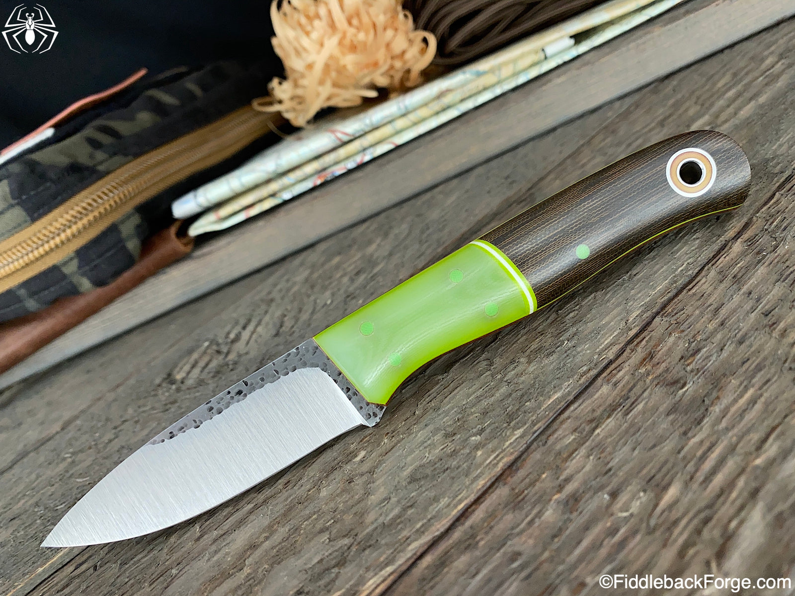 Fiddleback Friday 6/5/20